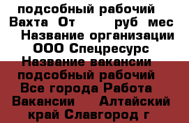 подсобный рабочий . Вахта. От 30 000 руб./мес. › Название организации ­ ООО Спецресурс › Название вакансии ­ подсобный рабочий - Все города Работа » Вакансии   . Алтайский край,Славгород г.